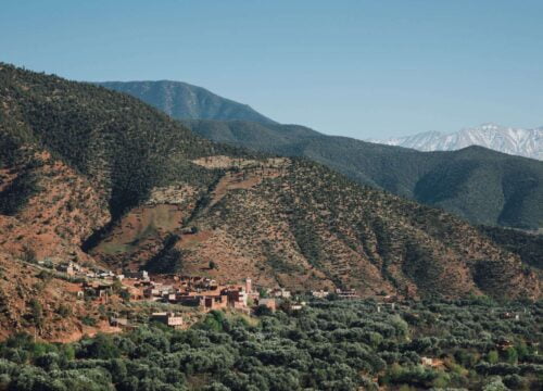 Excursión al Valle de Ourika