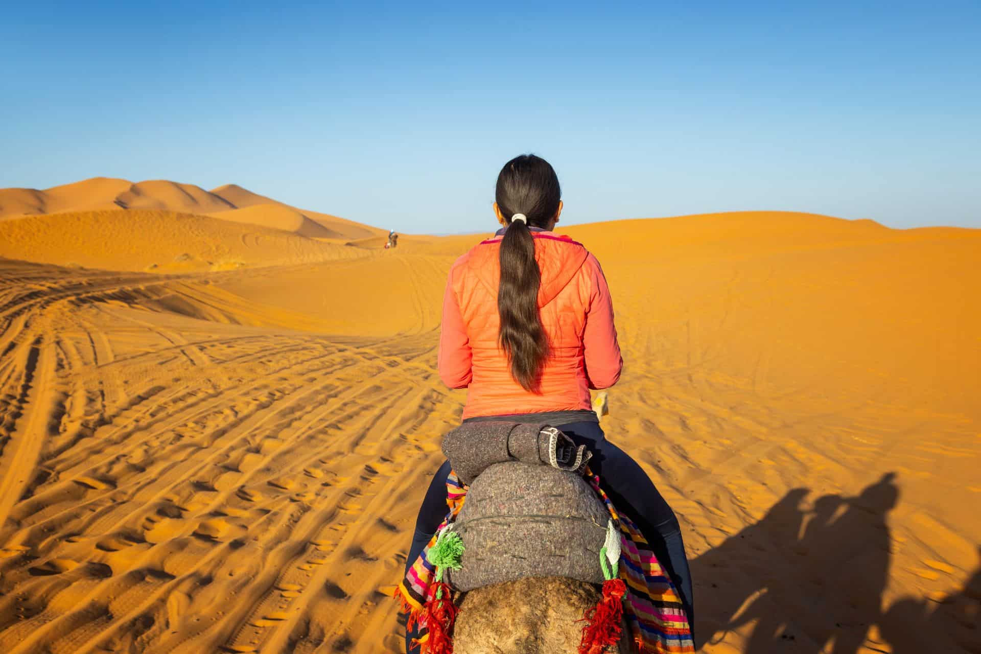 Ruta por Fin De Año en El Desierto