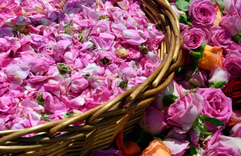 Valle de Las Rosas en Marruecos