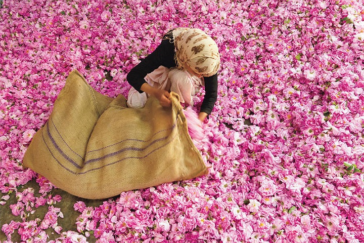 Valle de Las Rosas en Marruecos